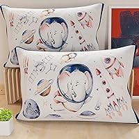 PETTI Artigiani Italiani - Coppia di Federe Cuscino 145x40 cm in Microfibra