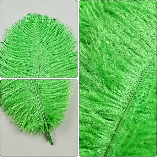 Miniatura 3 de THARAHT Plumas de avestruz verde, 24 piezas naturales a granel de 8-10 pulgadas de 20 a 9.8 in, para manualidades, bodas, fiestas, centros de mesa,