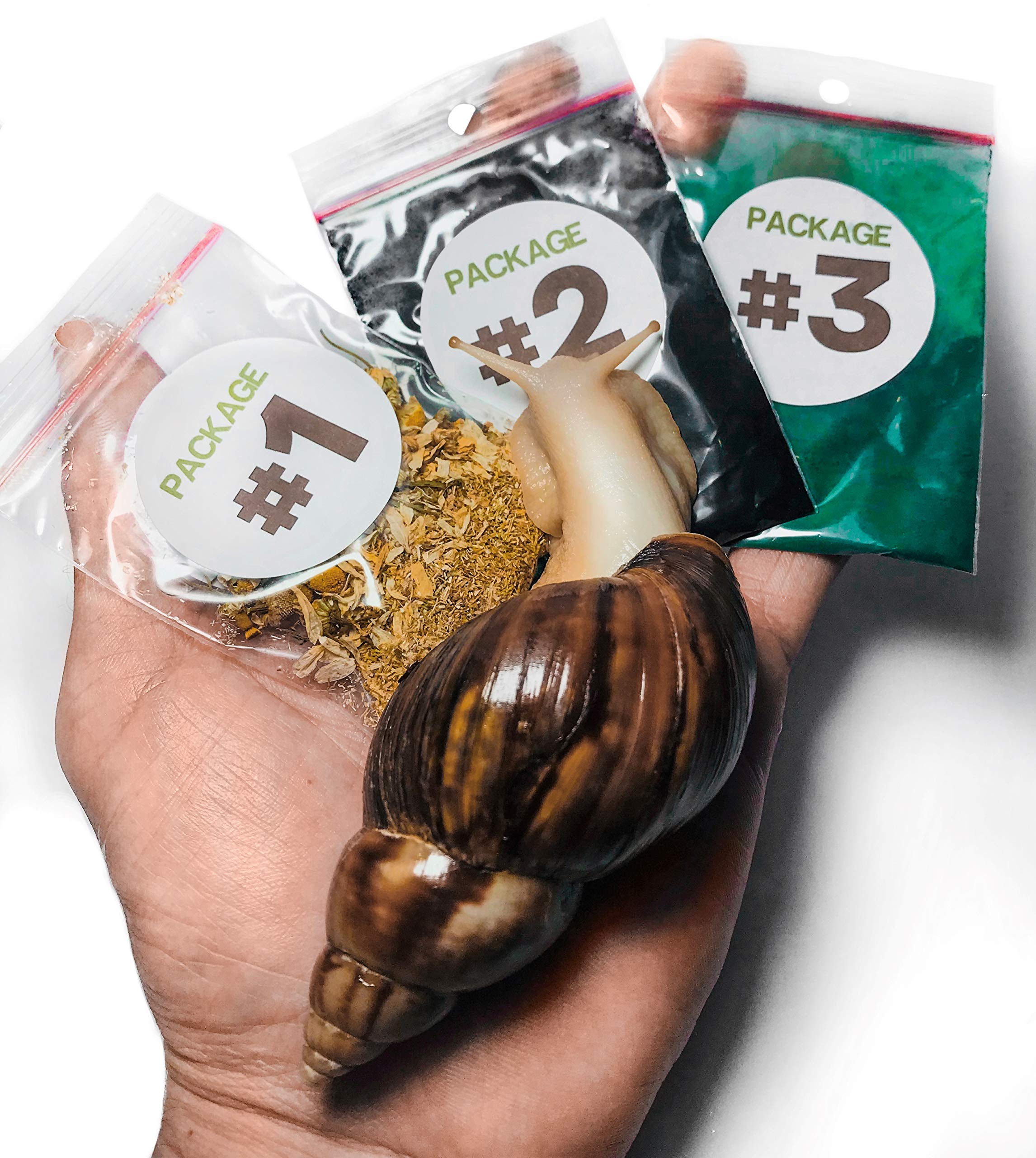 Buy Snail's First Aid Complete Pack. Pet Snail Emergency Care Kit for