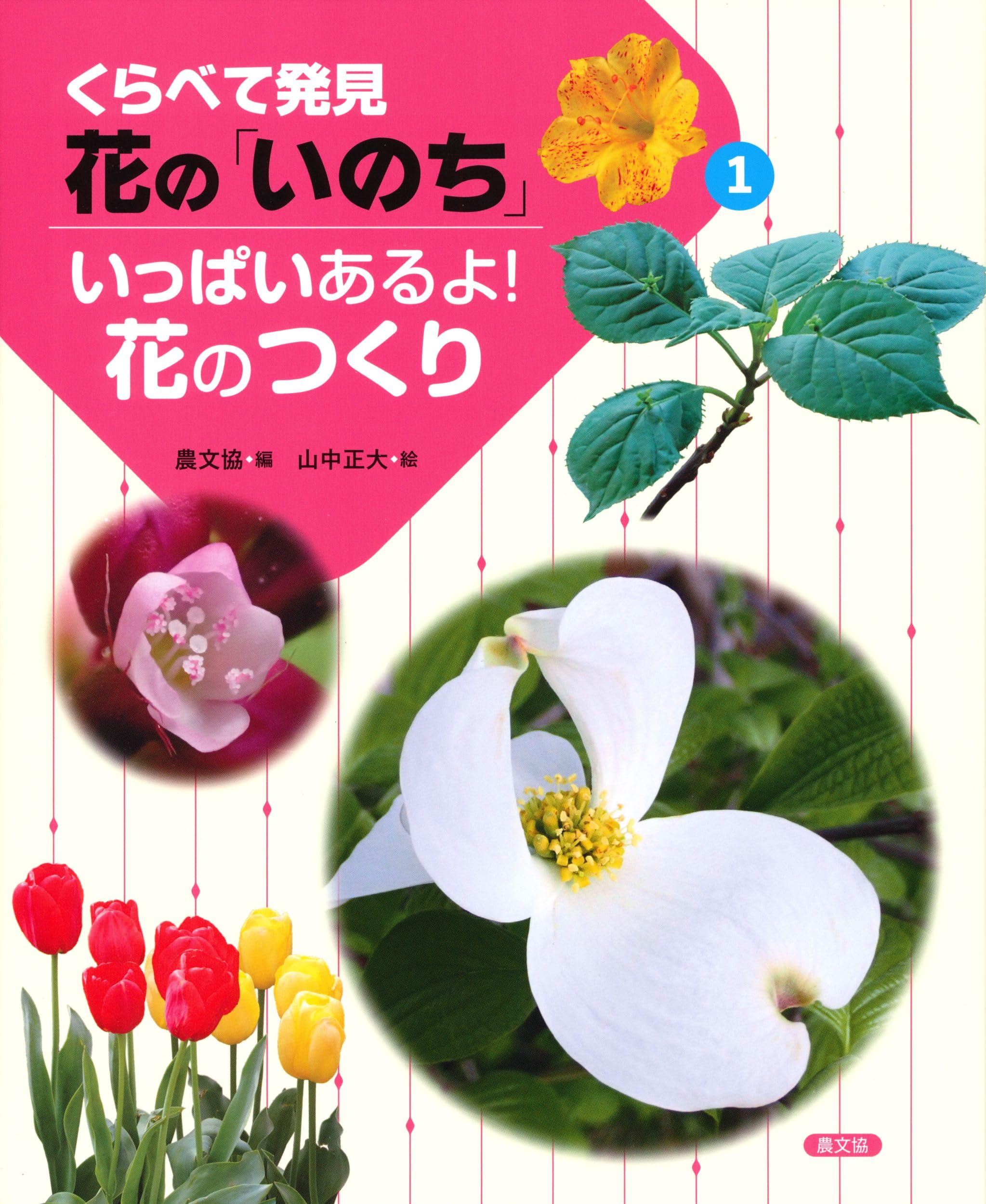 いっぱいあるよ!花のつくり (1) (くらべて発見花の「いのち」 1