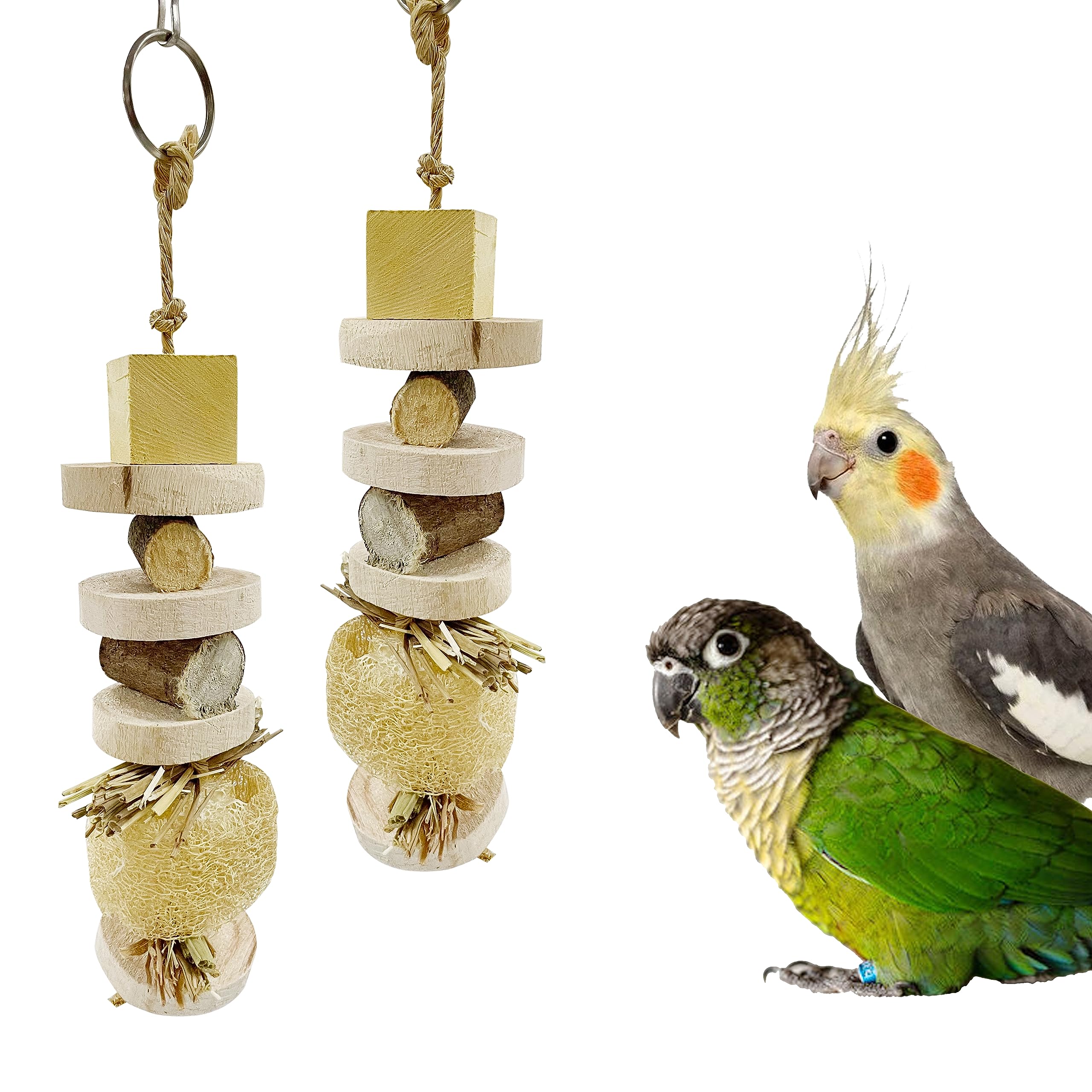 CONGO - NATURAL PARROT TREAT 12 Inch Set Of 2 Pcs Natural Luffa Chewing Toy For Budgies,Lovebirds,Cockatiels,Conure,Senegal And Other Birds (B0BH14Z45H) Amazon Price History, Amazon Price Tracker