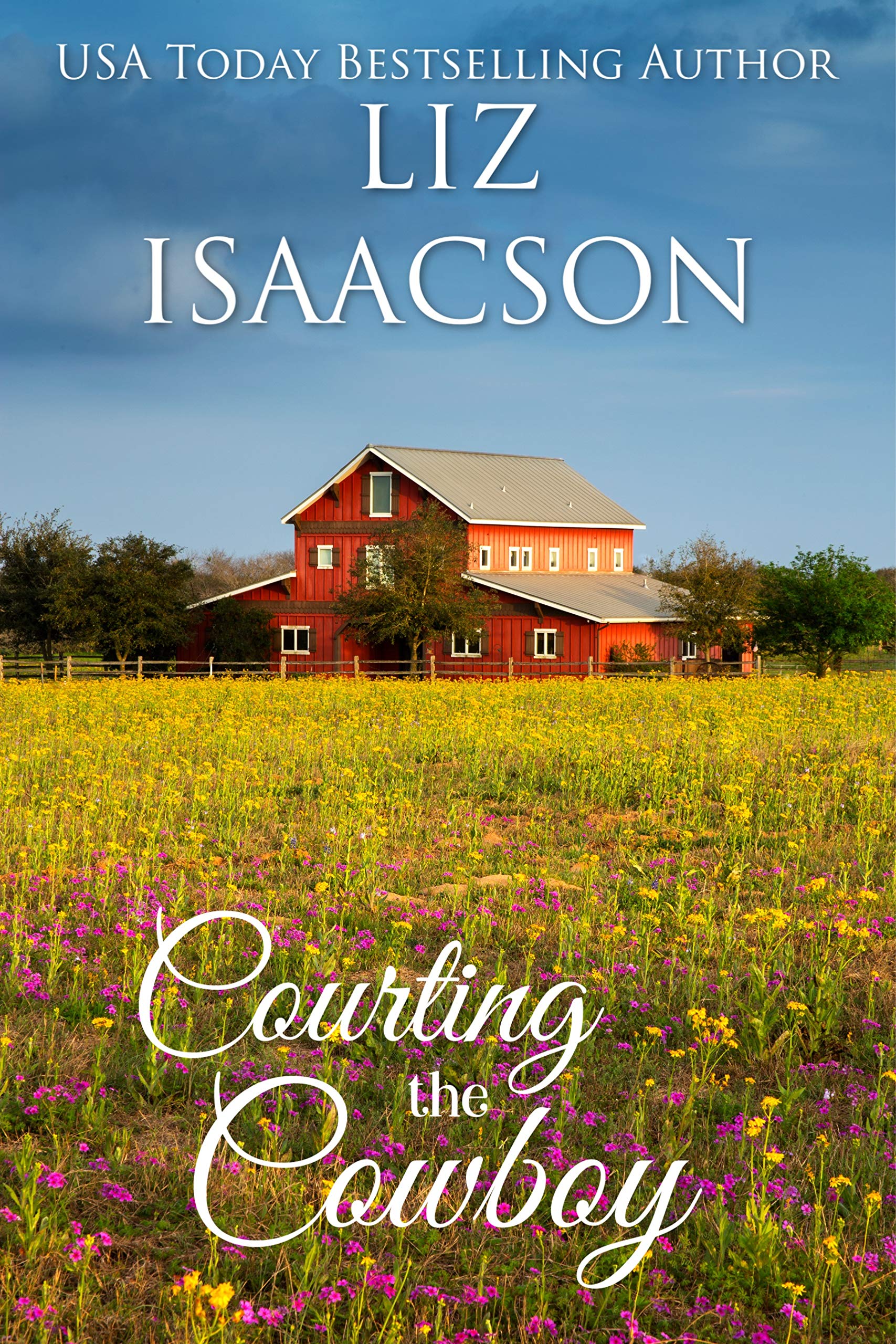 Courting the Cowboy: Christian Contemporary Romance (Grape Seed Falls Romance Book 3)
