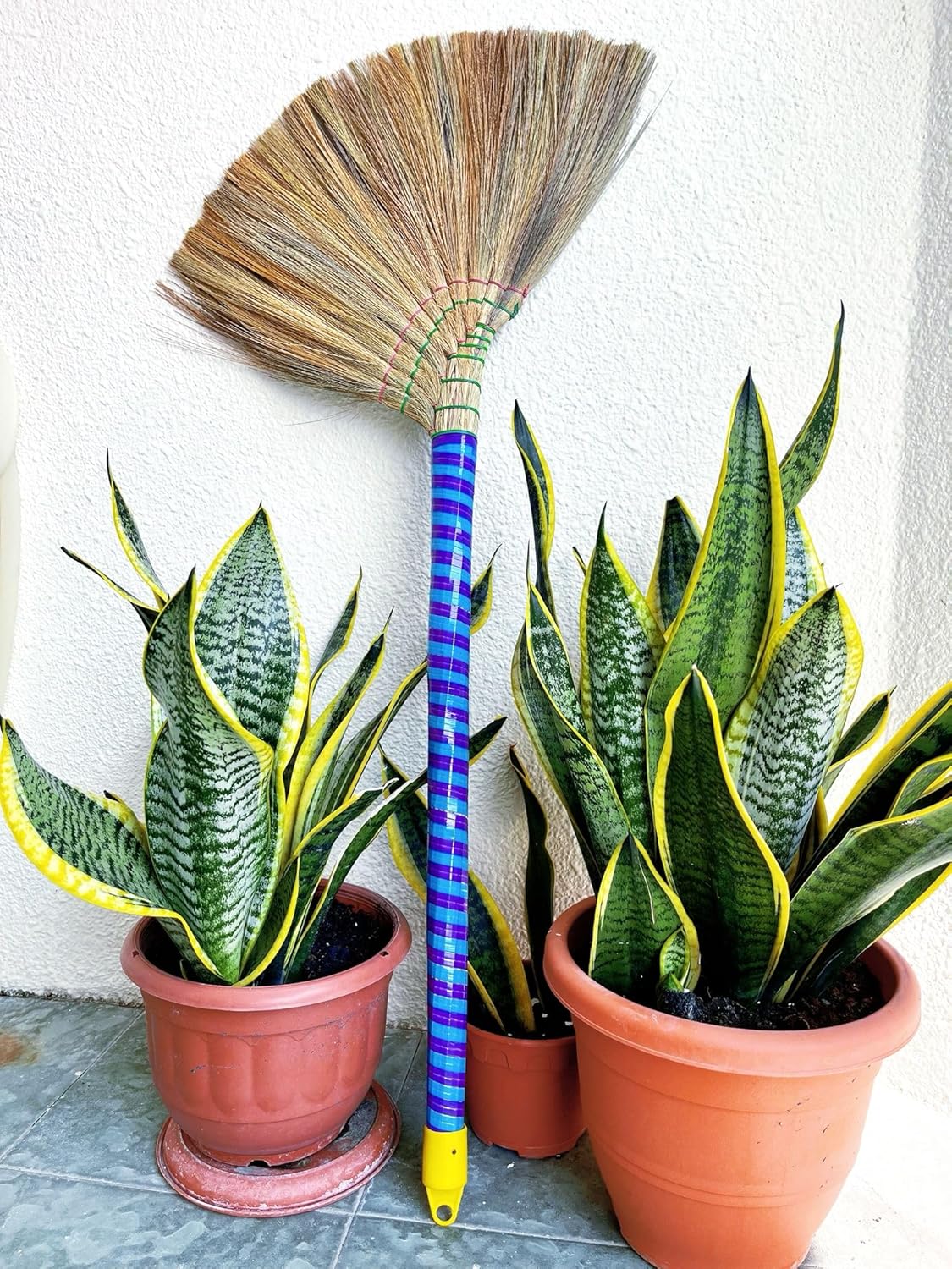 Authentic Asian Broom Set of 3 Packs - Premium Vietnamese Straw Broom, 40" Length