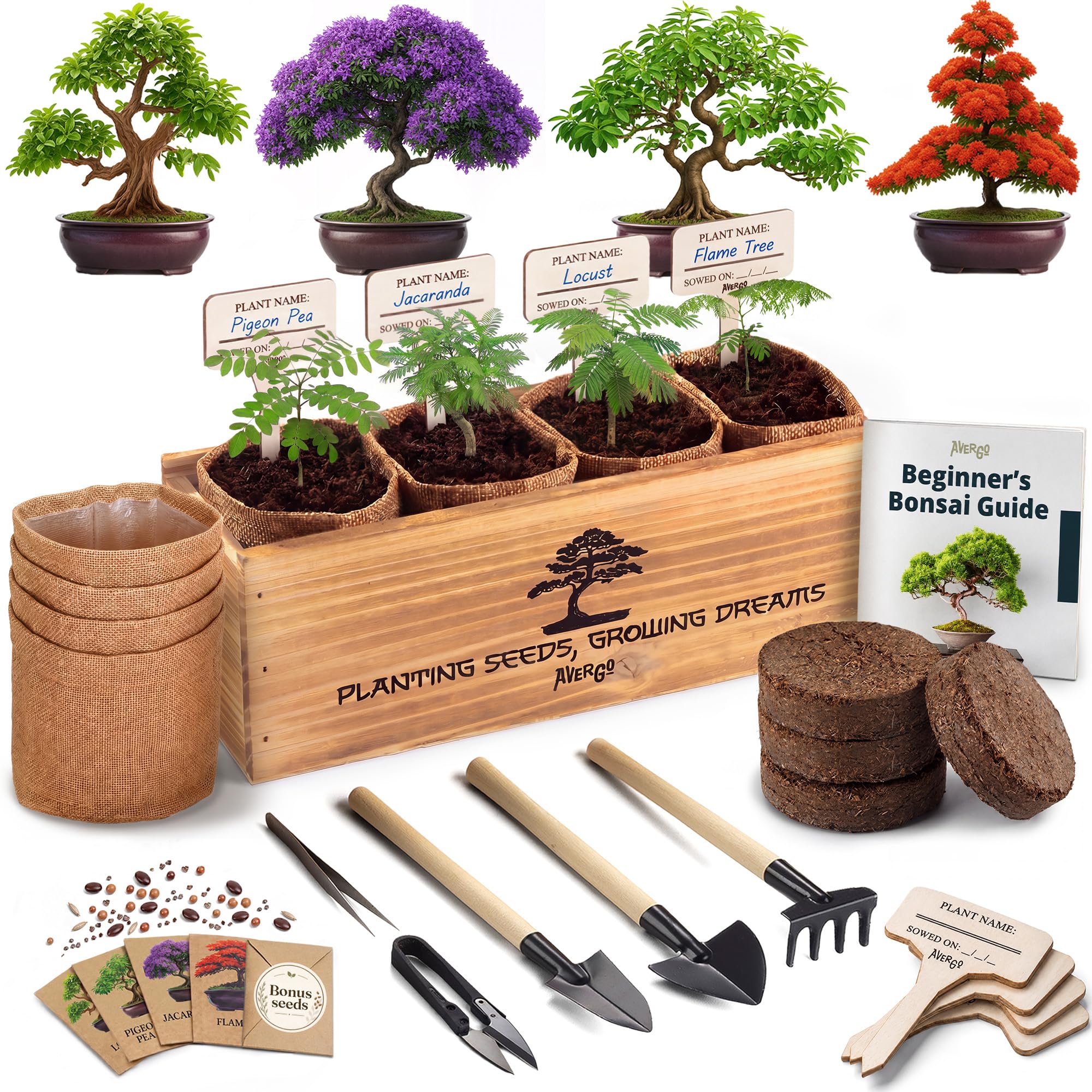 AVERGO Bonsai Tree Kit