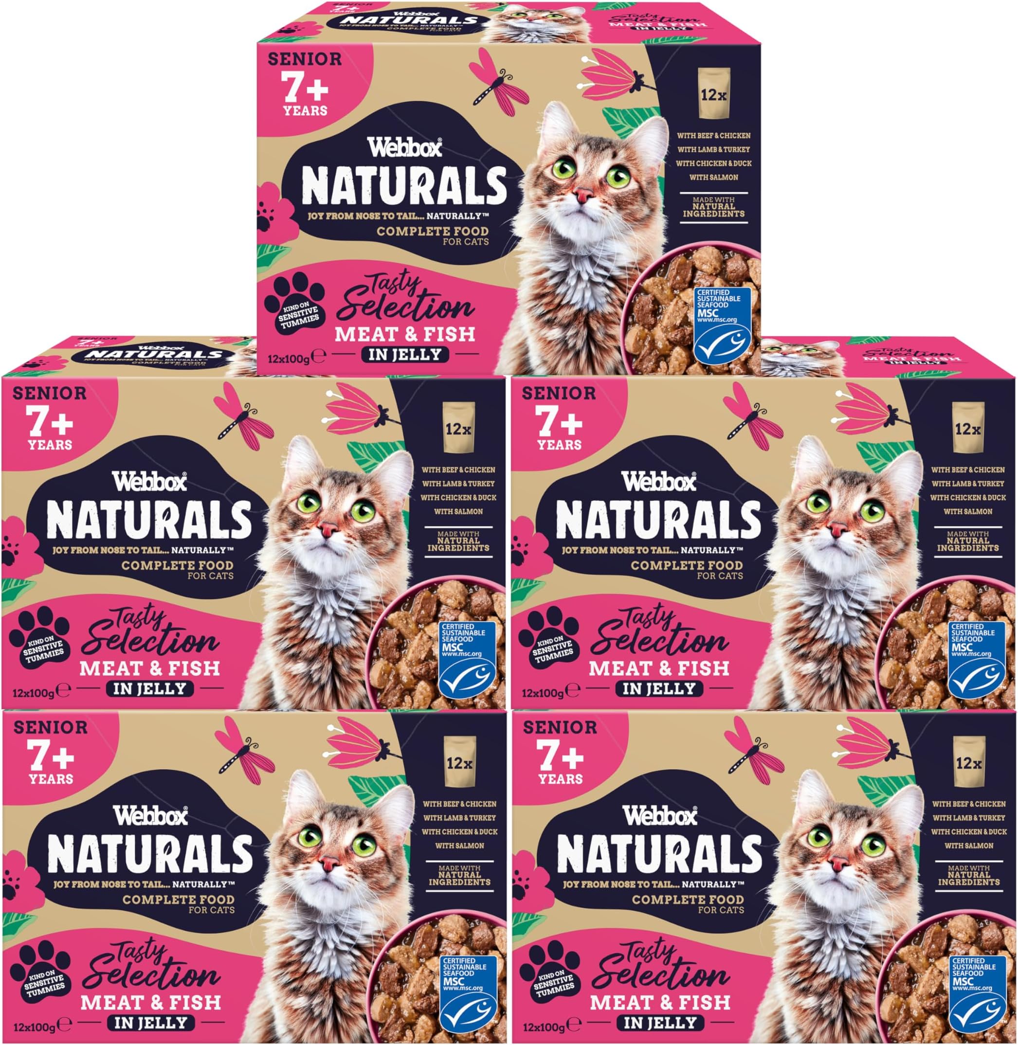 Complete Senior (7+) Wet Cat Food, 60 x Meat & Fish in Jelly Variety Pack - Natural Ingredients and No Nasties (60 x 100g Pouches)