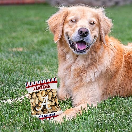 Miniatura 5 de NCAA Georgia Bulldogs HOT Dog Plush Dog & CAT Squeak Toy - Cutest HOT-Dog Snack Plush Toy for Dogs & Cats with Inner Squeaker & Beautiful