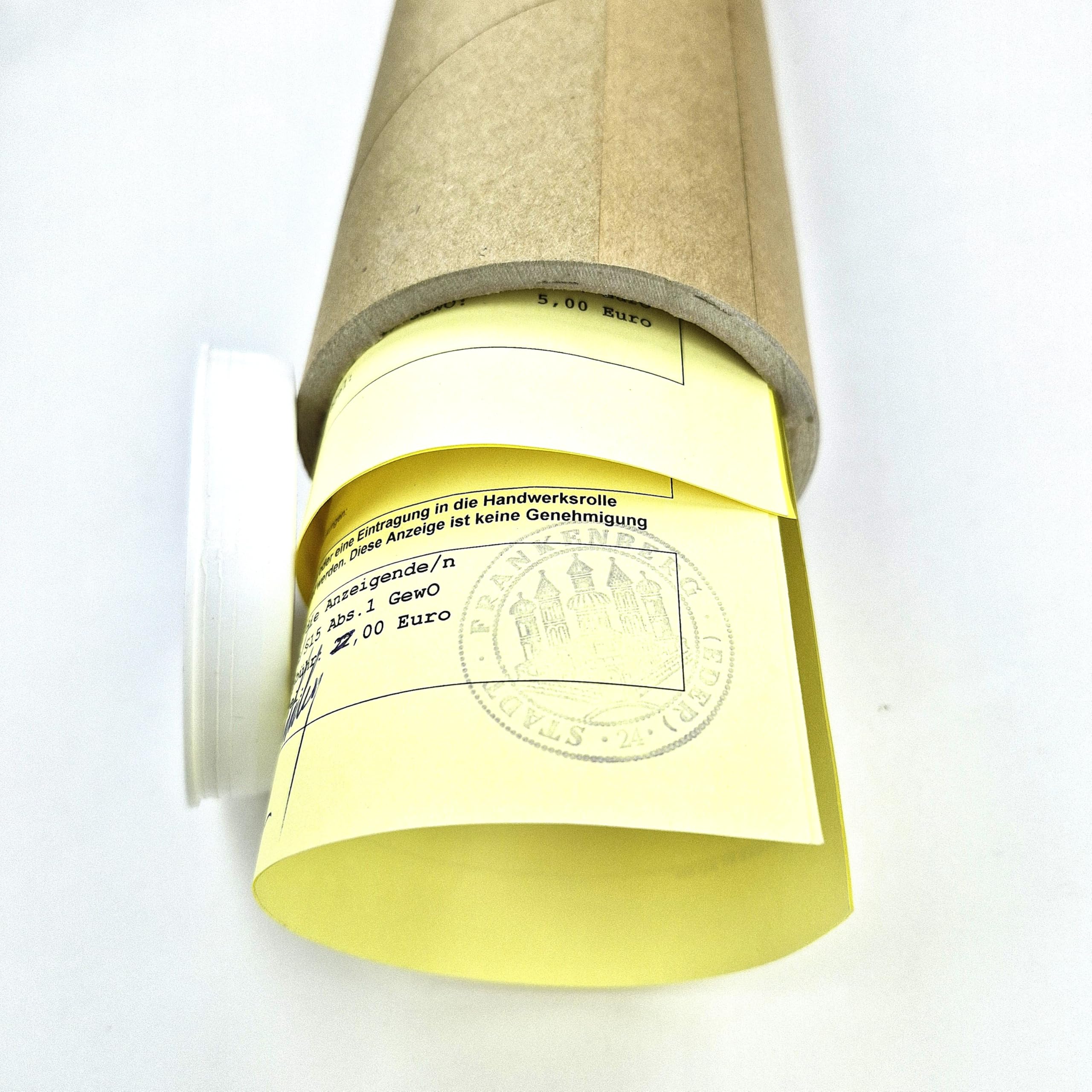 Rouleau d'affiche 20-118cm QUALITÉ INDUSTRIELLE produit allemand emballage rond STABLE couvercle dessins documents graphiques 75cm 1x75x7,6cm DIN