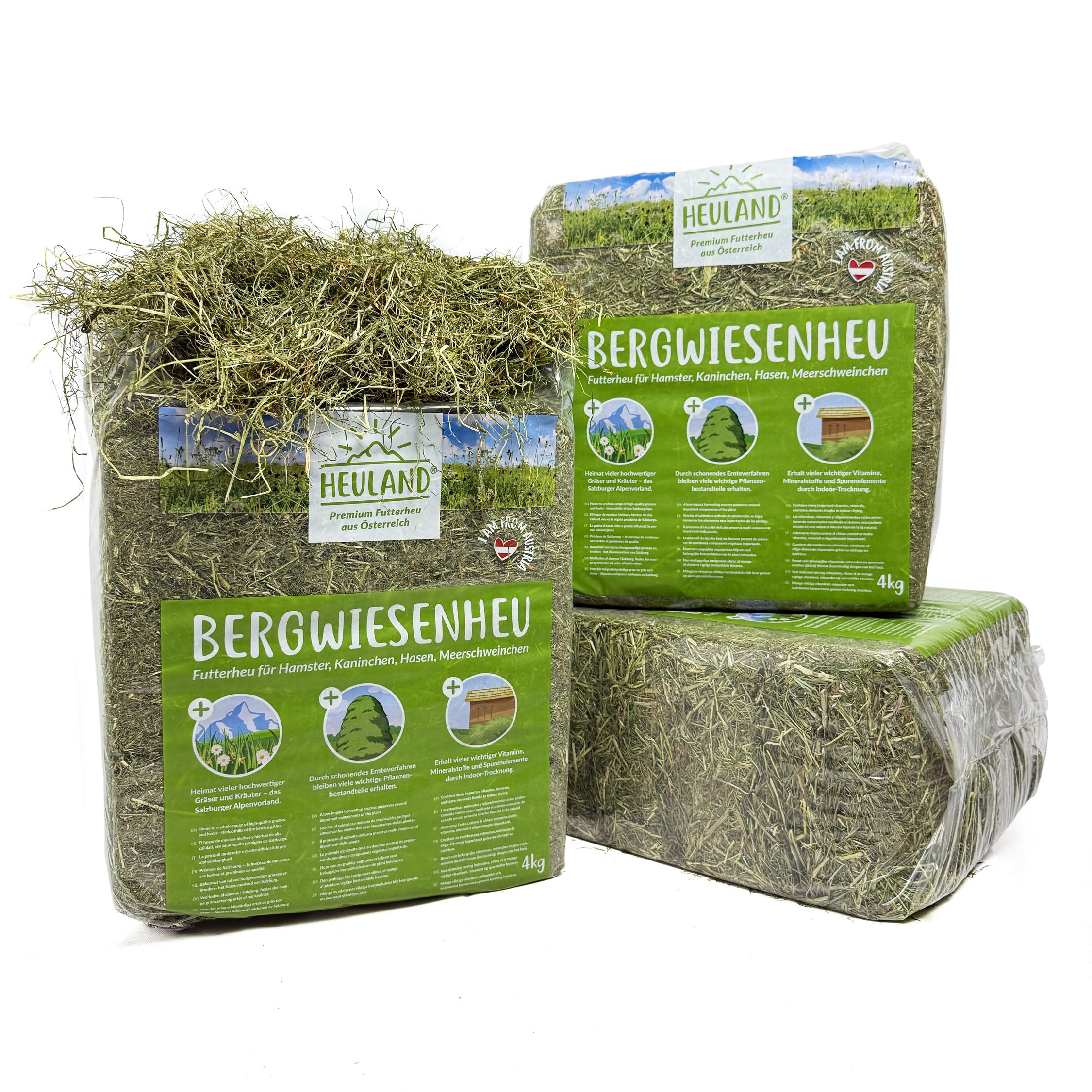HEULAND® Premium Heu (3 x 4 Kg) Frisches Bergwiesenheu für Kleintiere Kaninchen Kräuter Hamster Streu Meerschweinchen Futter für Nager Chinchilla Zwergkaninchen Hasen Zwerghamster (12 Kilo)