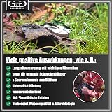 Ver la foto 5