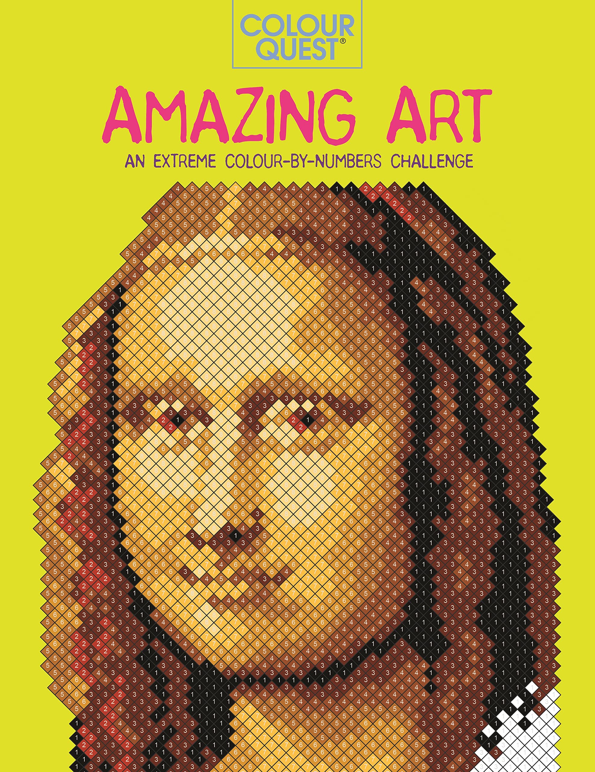Colour Quest®: Amazing Art: An Extreme Colour by  by Lauren Farnsworth PAPERBACK