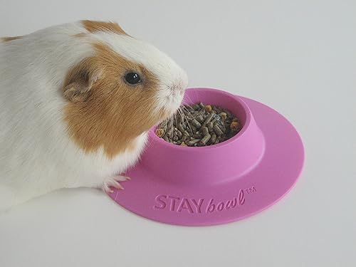 Miniatura 3 de Cuenco ergonómico para mascotas a prueba de puntas para conejillo de indias y otras mascotas pequeñas, 1/4 taza tamaño pequeño, lila (morado)