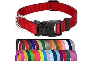 Country Brook Petz Red Collar for Medium Dogs