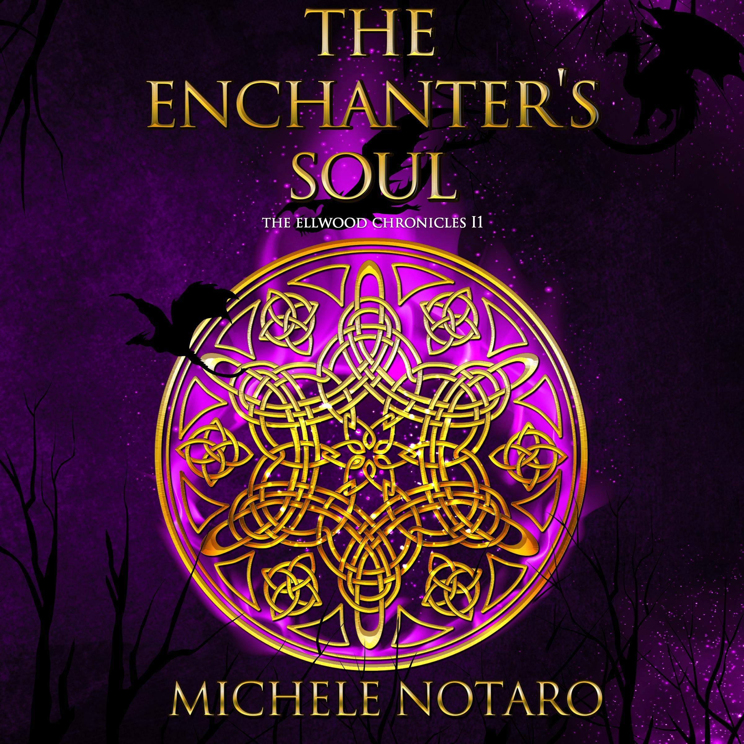 Cover art for The Enchanter's Soul
