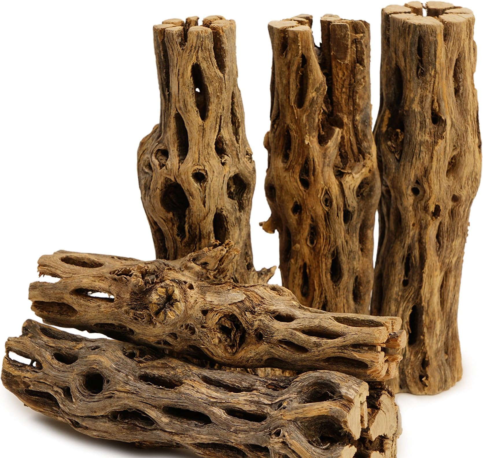 NApremium Natural Cholla Wood | 5 Pieces of 5-6" Long Natural Cholla Wood for Aquarium Decoration, Hermit Crabs, Shrimp