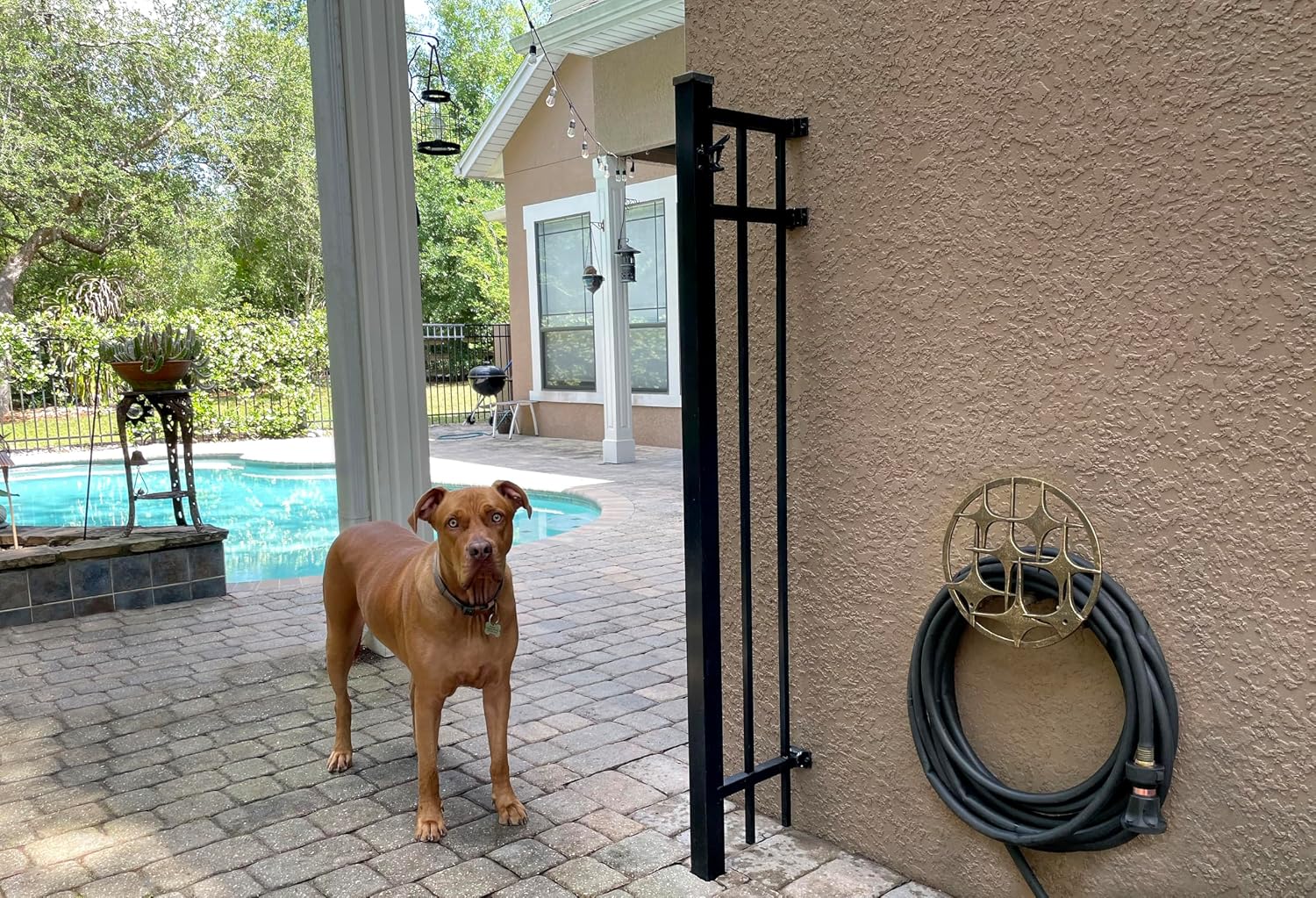 Bronze Finish Cast Iron MCM Stars Wall Mounted Hose Holder - Stylish Mid-Century Modern Garden Decor Solution - 11.5 Inches in Diameter, Weather-Resistant