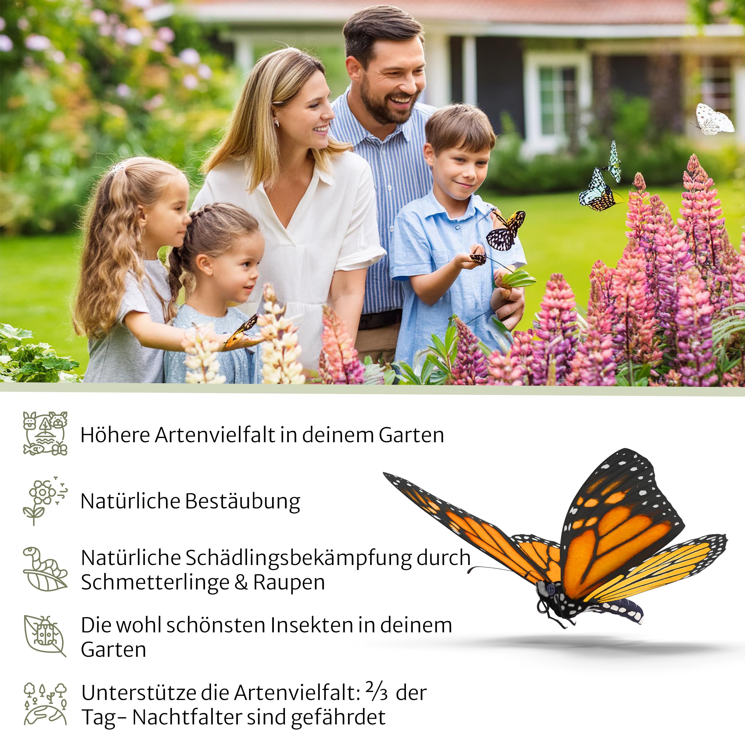 Oramics Schmetterlingshaus aus Kiefernholz mit wetterfestem Metall Dach [Made in Europe] Schmetterlingshotel für Garten und Balkon – Schmetterling Kasten Insektenhotel zum Züchten oder zur Aufzucht