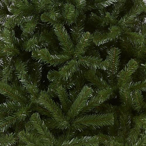 Miniatura 2 de Abeto National Tree North Valley