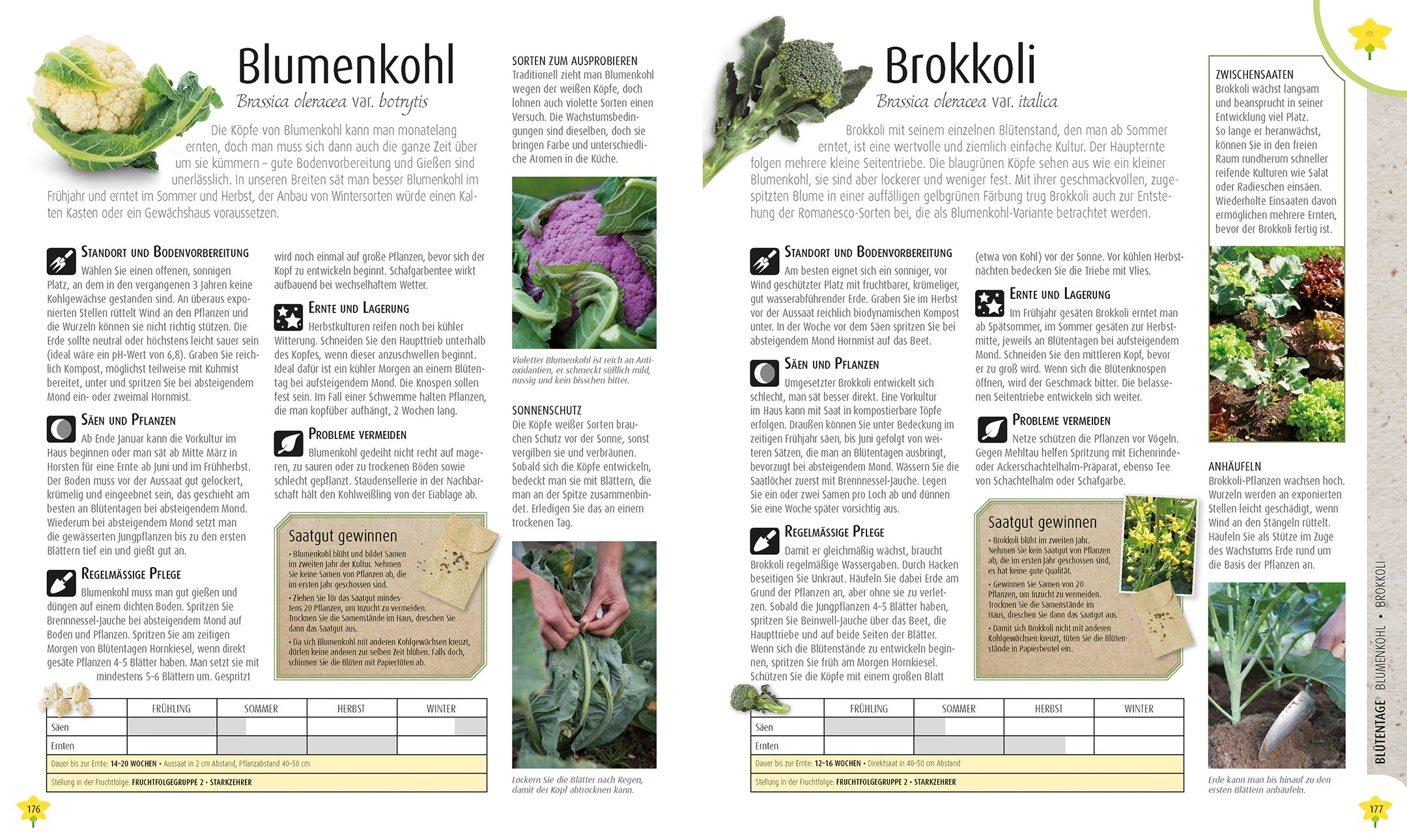 Biodynamisch gärtnern: Pflanzen, säen, ernten im Einklang mit den Natur- und Mondzyklen
