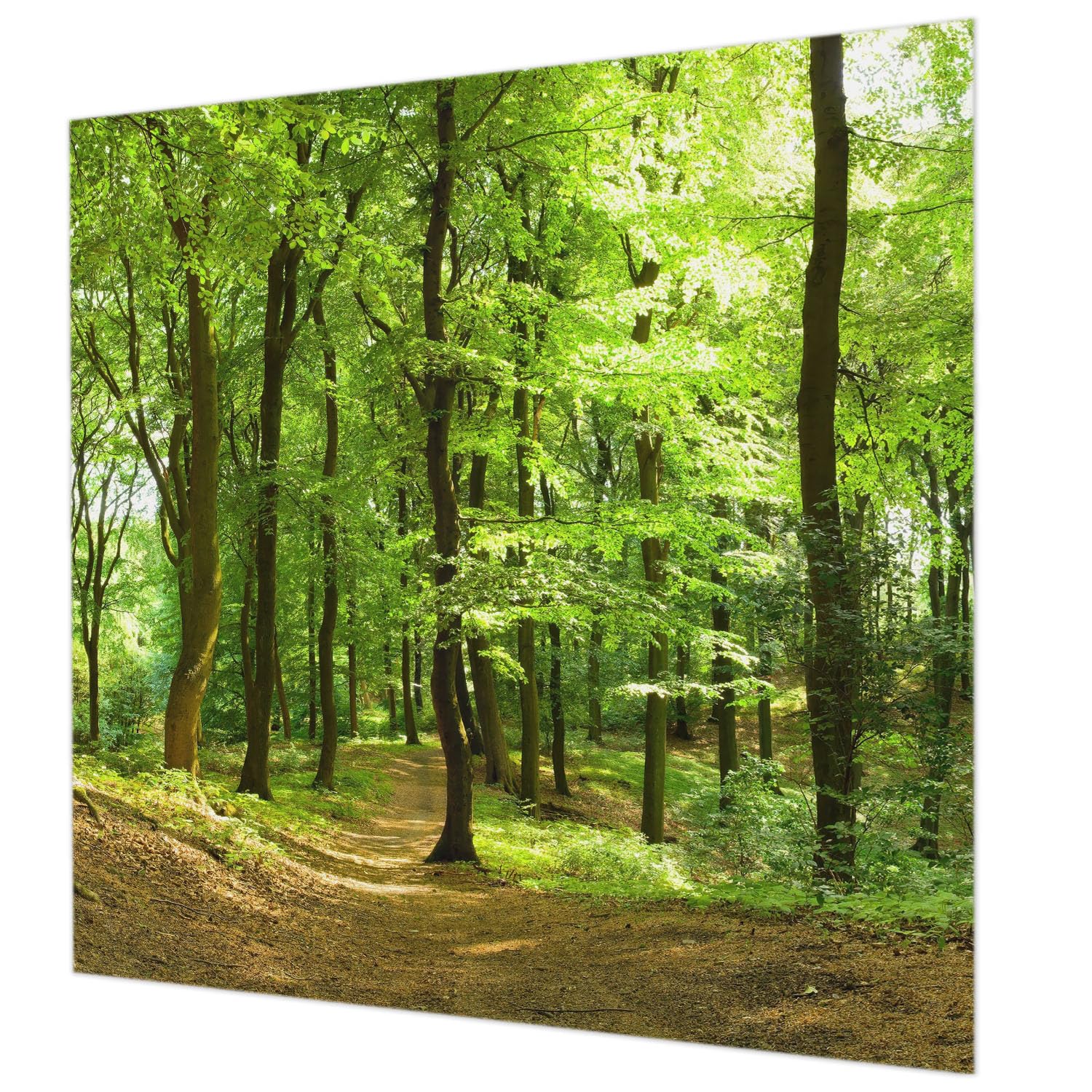 Impression de haute qualité pour papier peint intissé 250x250 de salon