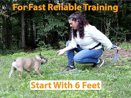 Miniatura 8 de Olive Paws Correa para perro de 30 pies  Perros pequeños, medianos, grandes  Juego de correa de entrenamiento para perros  Herramientas de