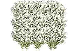 Dried Baby's Breath Flowers: 200 Piece Nature's Delicacy for Weddings, Crafts, and Decor