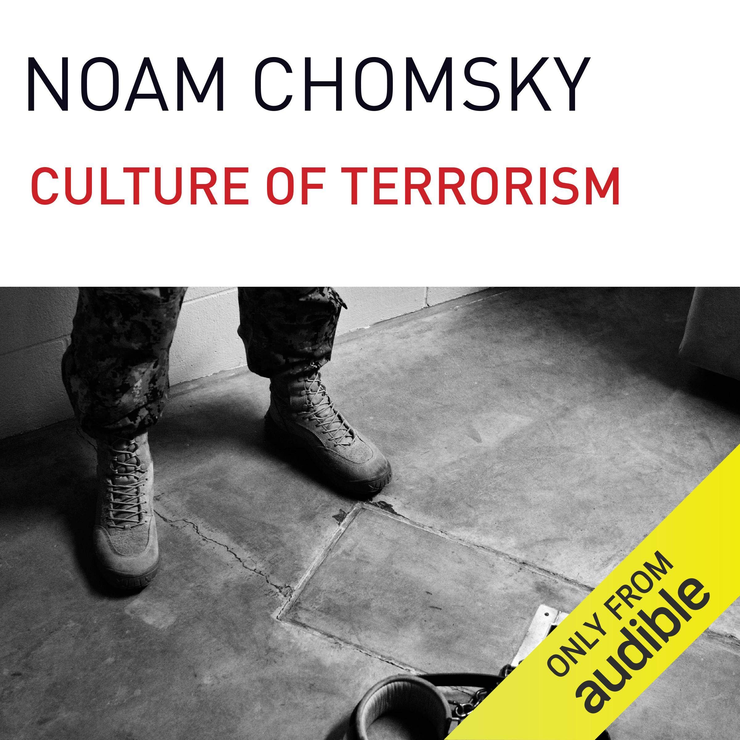 Cover art for The Culture of Terrorism