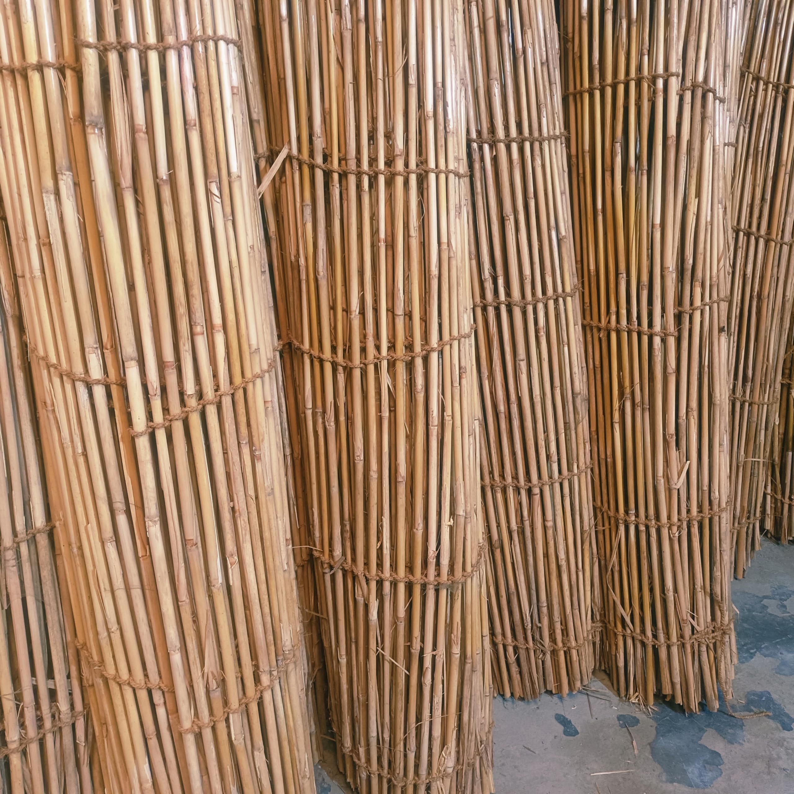 6.5ft x 15ft Portable Standing Reed Fence — Eco Bamboo Privacy Screen for Balcony & Patio