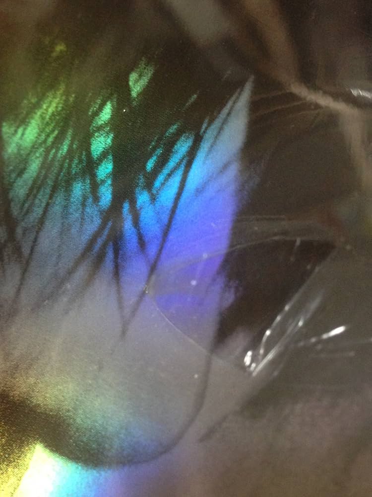 Amazon.co.jp: KYOSUKE HIMURO TOUR 2003“HIGHER THAN HEAVEN