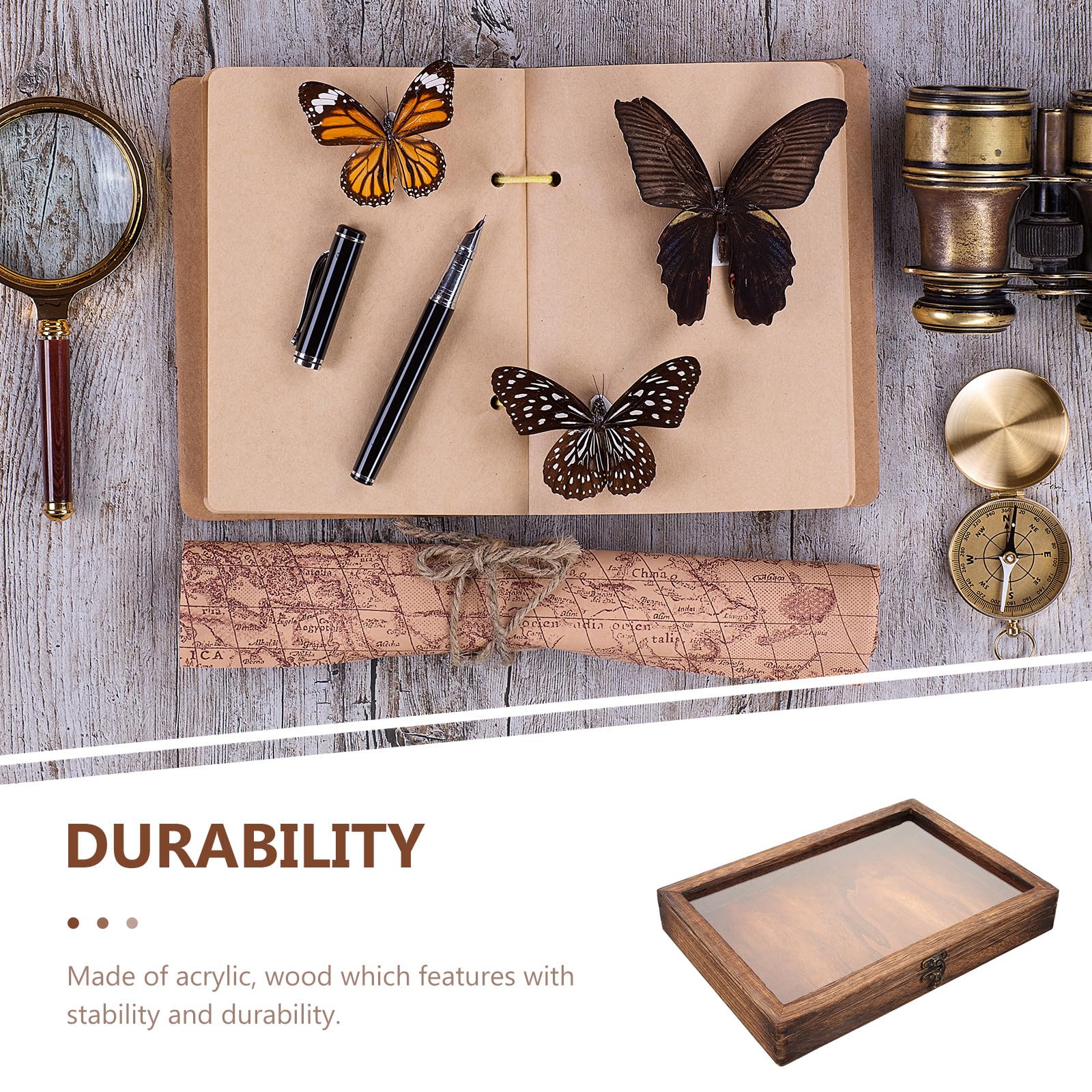 SAFIGLE Insekten Schaukasten mit Transparenter Acryldeckel Retro Stil Sammlerbox für Schmetterlinge und Insekten zur Wandmontage und Aufbewahrung Zufälliger Stil Spielzeug