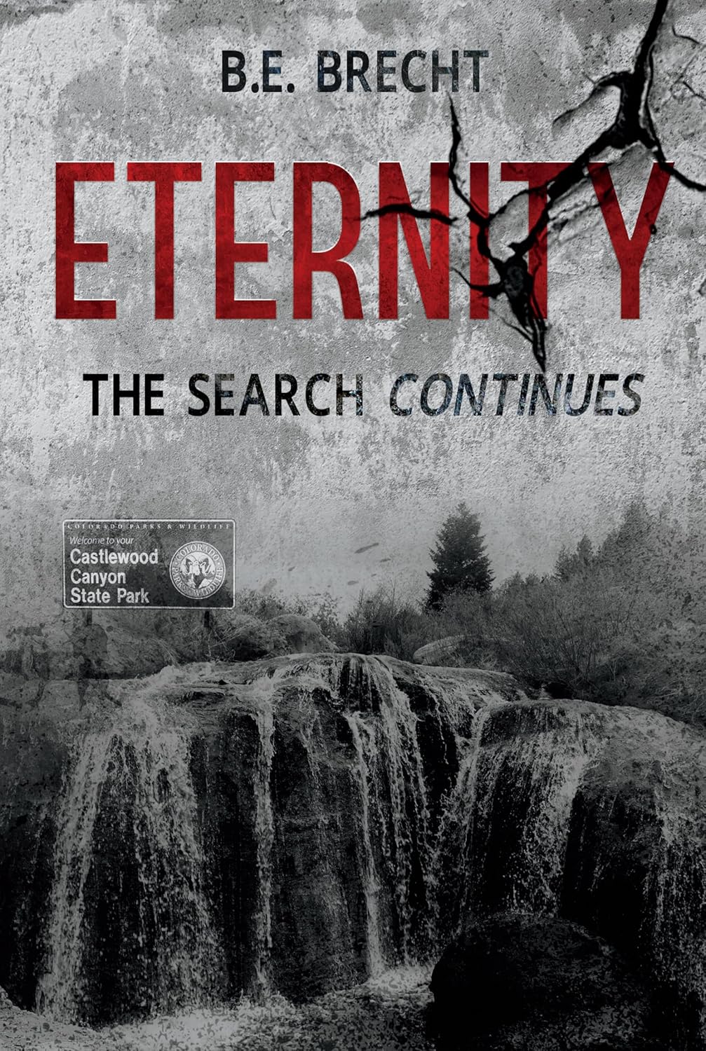 ETERNITY: THE SEARCH CONTINUES      Kindle Edition