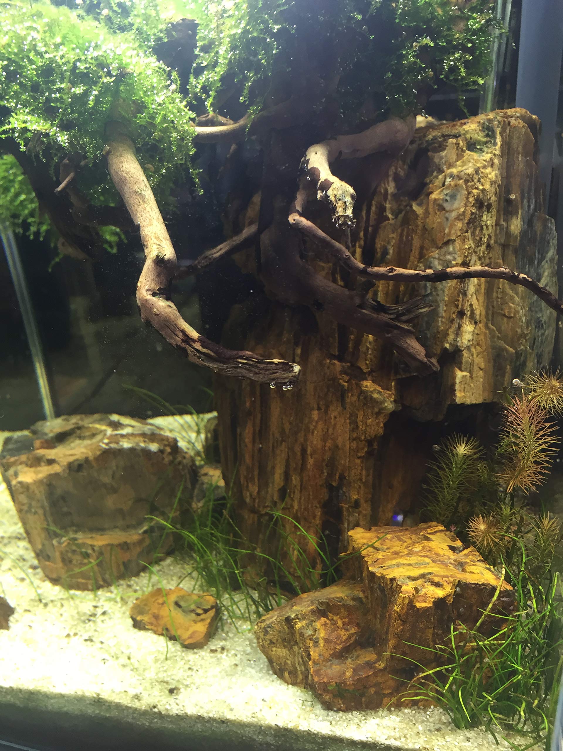 View 9