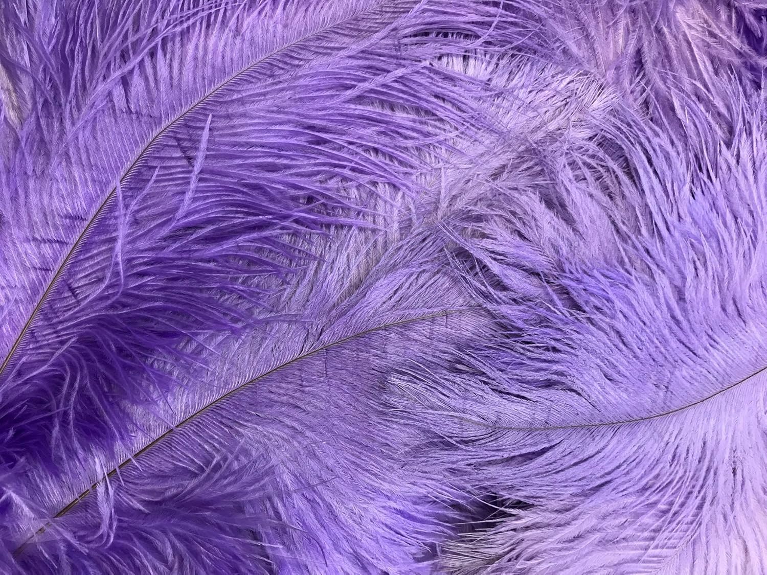 Moonlight Feather | 10 Pieces - 14-17" Lavender Ostrich Dyed Drab Body Feathers, Mardi Gras, Party Centerpiece and Costume