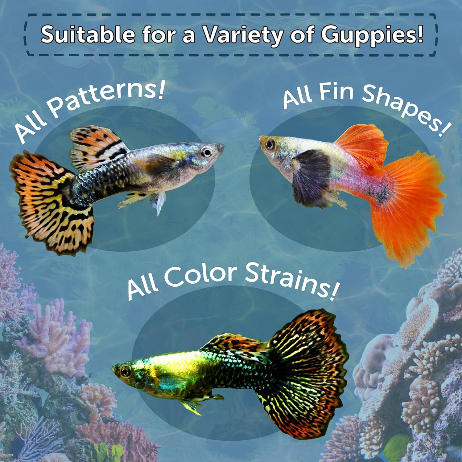 Aquatic Foods Inc. Guppy Flakes, A 3-Type Flake Mix for Guppies and All Community Aquarium Fish, Cichlids, Catfish, Tetras, Goldfish, Livebearers, Goldfish…AFI...1 lb