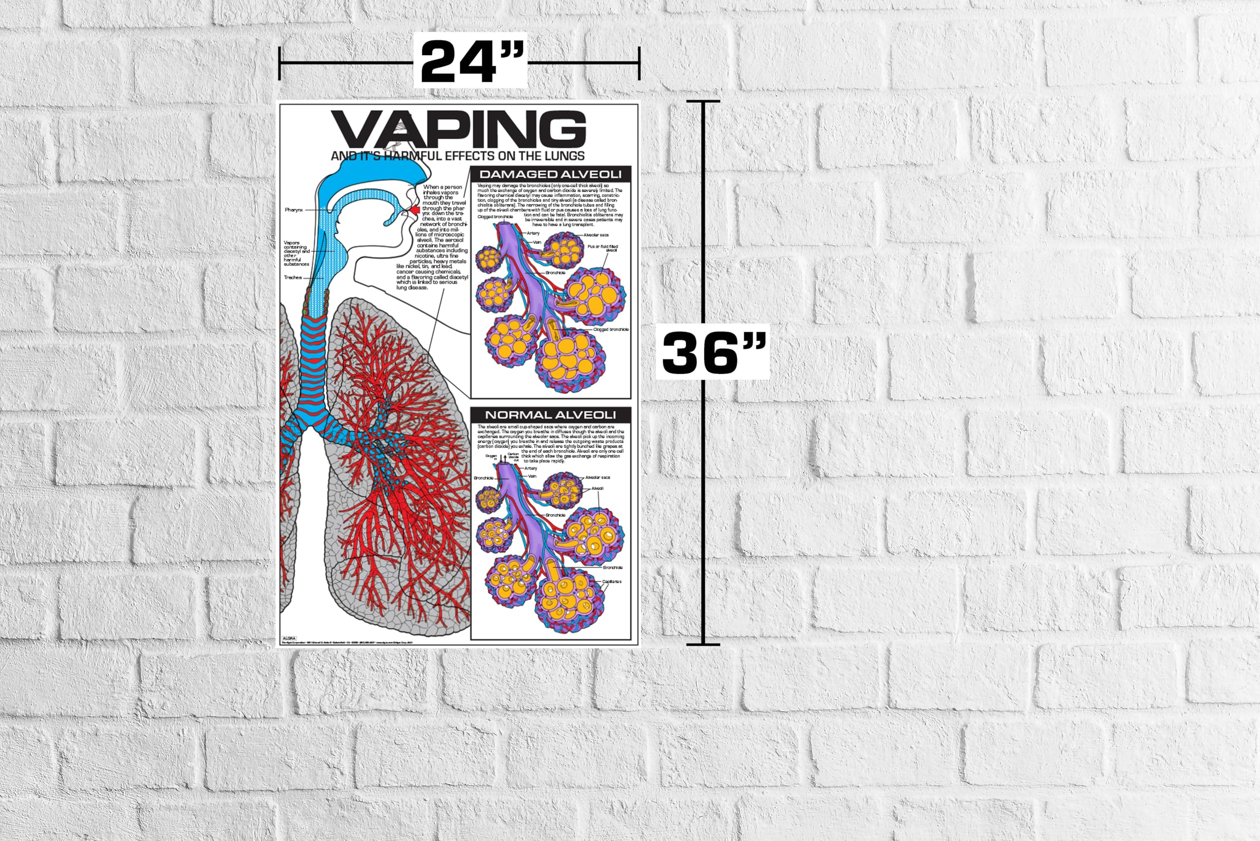 Amazon.com: ALGRA Vaping Effects on Lungs Poster 24