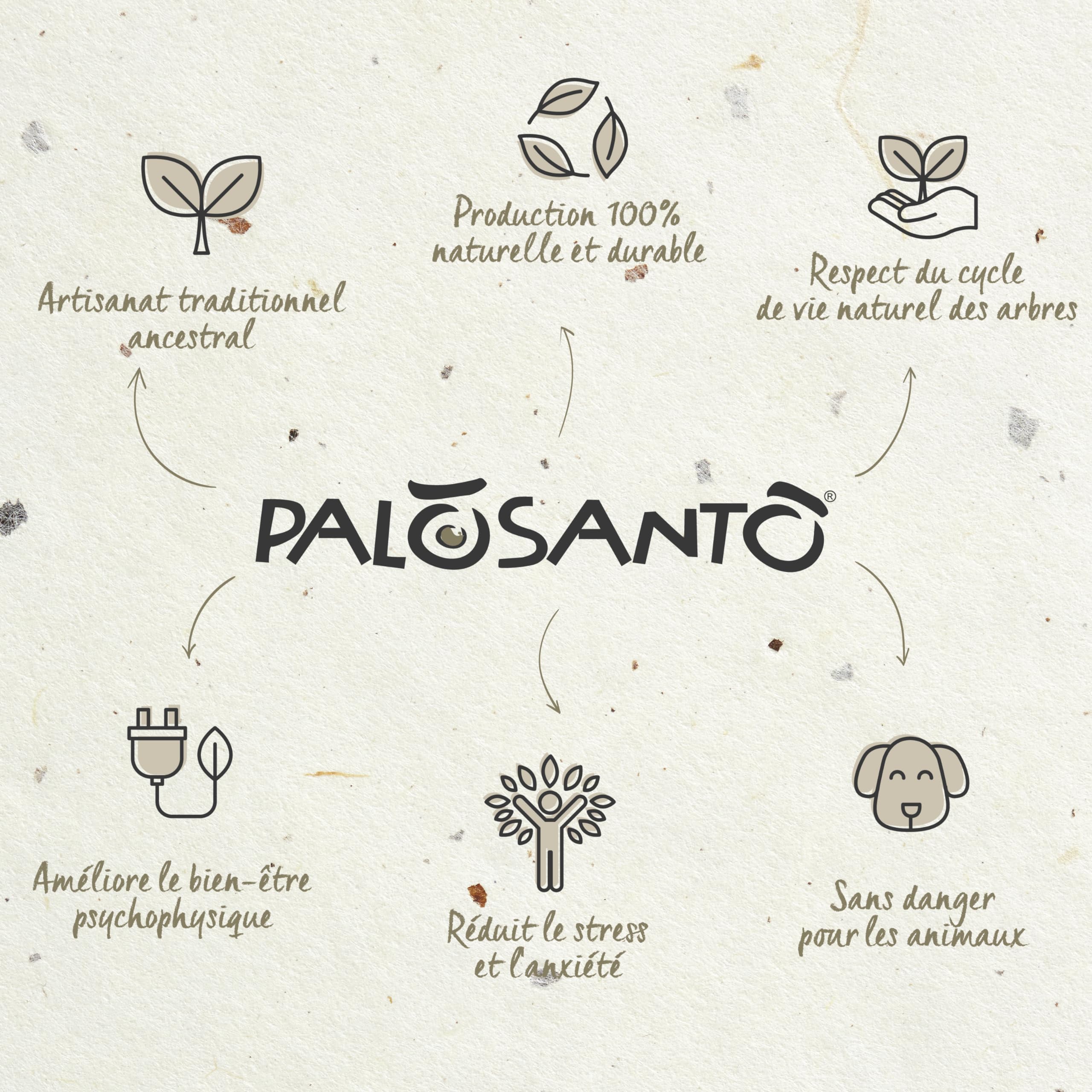 Bursera Graveolens Palo Santo Batons Ayabaca 8 Sztuk Encens Naturel Purification Maison Qualité Supérieure