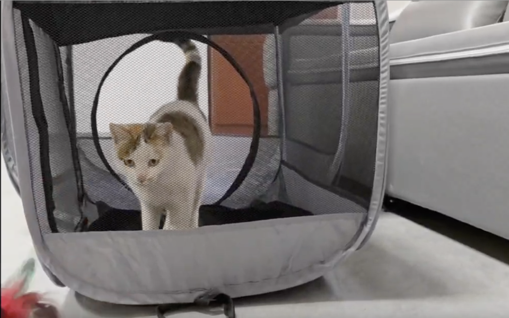 Pet Tent Portable Cat Enclosure Outdoor Cat Tent Outdoor Cat