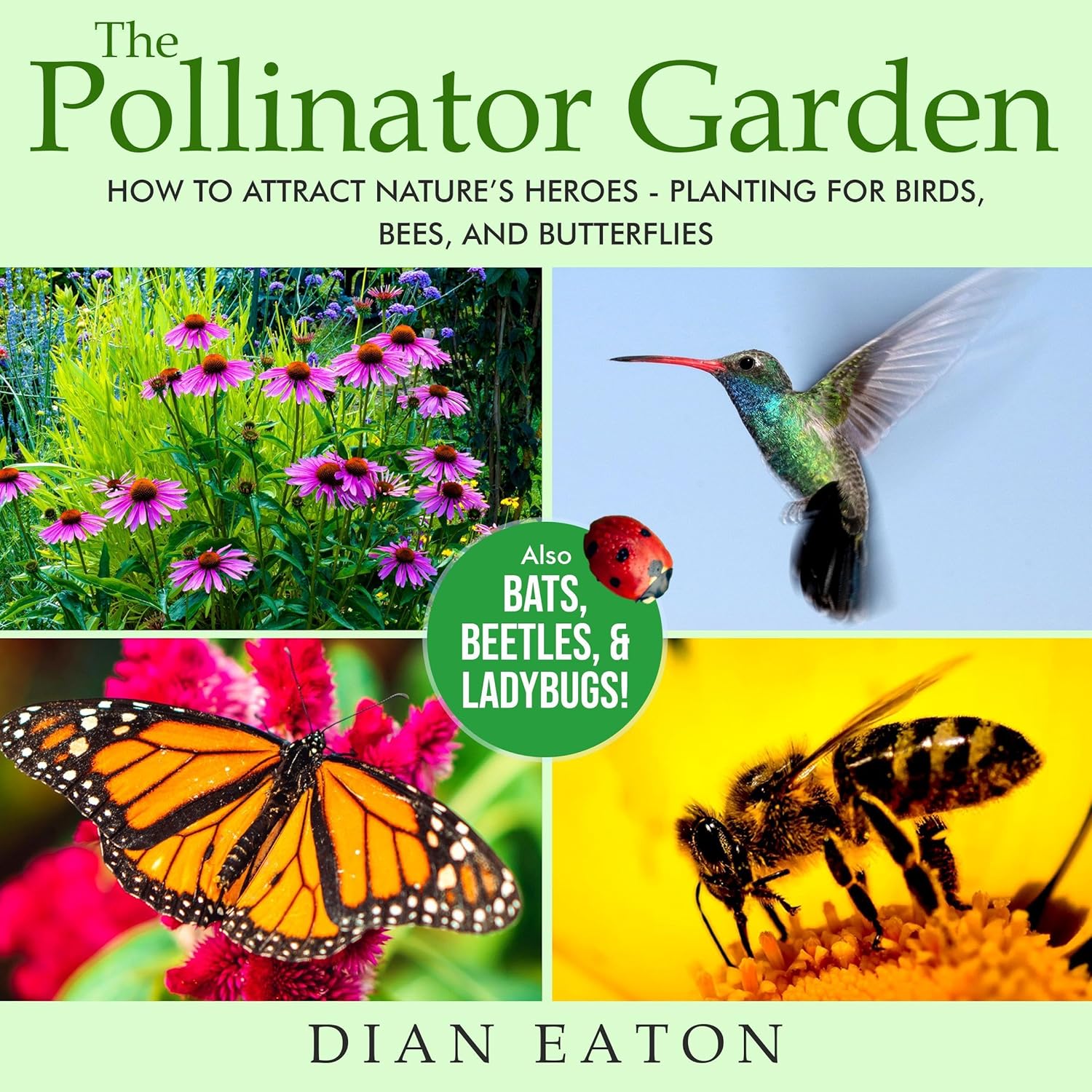 The Pollinator Garden: How to Attract Nature's Heroes - Planting for Birds, Bees, and Butterflies    
	                
	            

                 
                        Audible Audiobook 
                  
                        – Unabridged