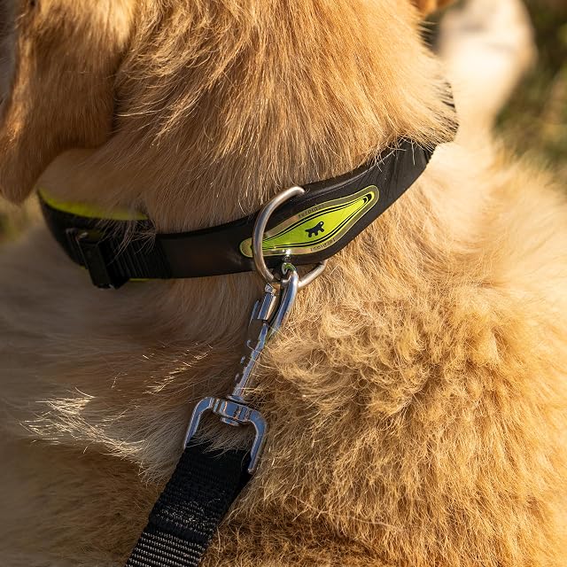 Foto 3 de 6 de Ferplast 75448428 Collar Ergonómico para Perros Ergocomfort Fluo C25/60, Sistema de Microrregulación, Suave…