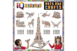 IQ BUILDER 3D COLORING PUZZLE: A DIY Arts and Crafts Kit for Kids and Adults