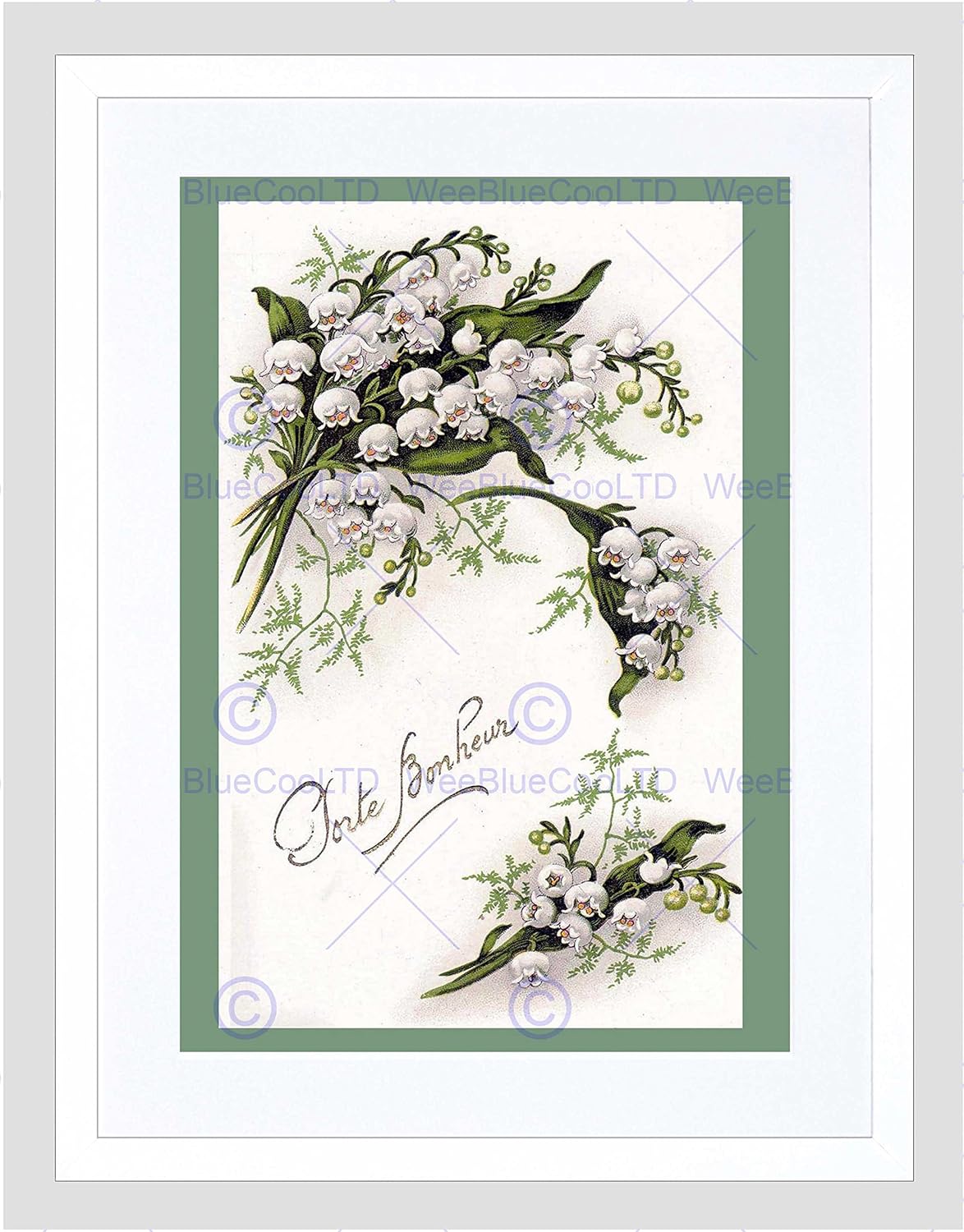 Amazon.co.jp Vintage Botanical Illustration Flowers Framed Wall Art