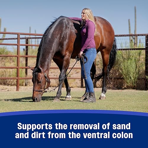 Miniatura 4 de Farnam SandClear Psyllium Crumbles Suplemento para caballos, ayuda a eliminar la arena del colon y apoya la salud digestiva, sabor a manzana/melaza