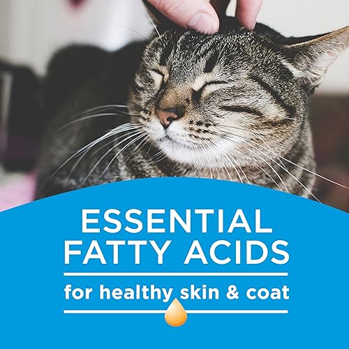 Miniatura 5 de Purina Cat Chow - Alimento seco para gatos, completo, bolsa de 3.15 libras