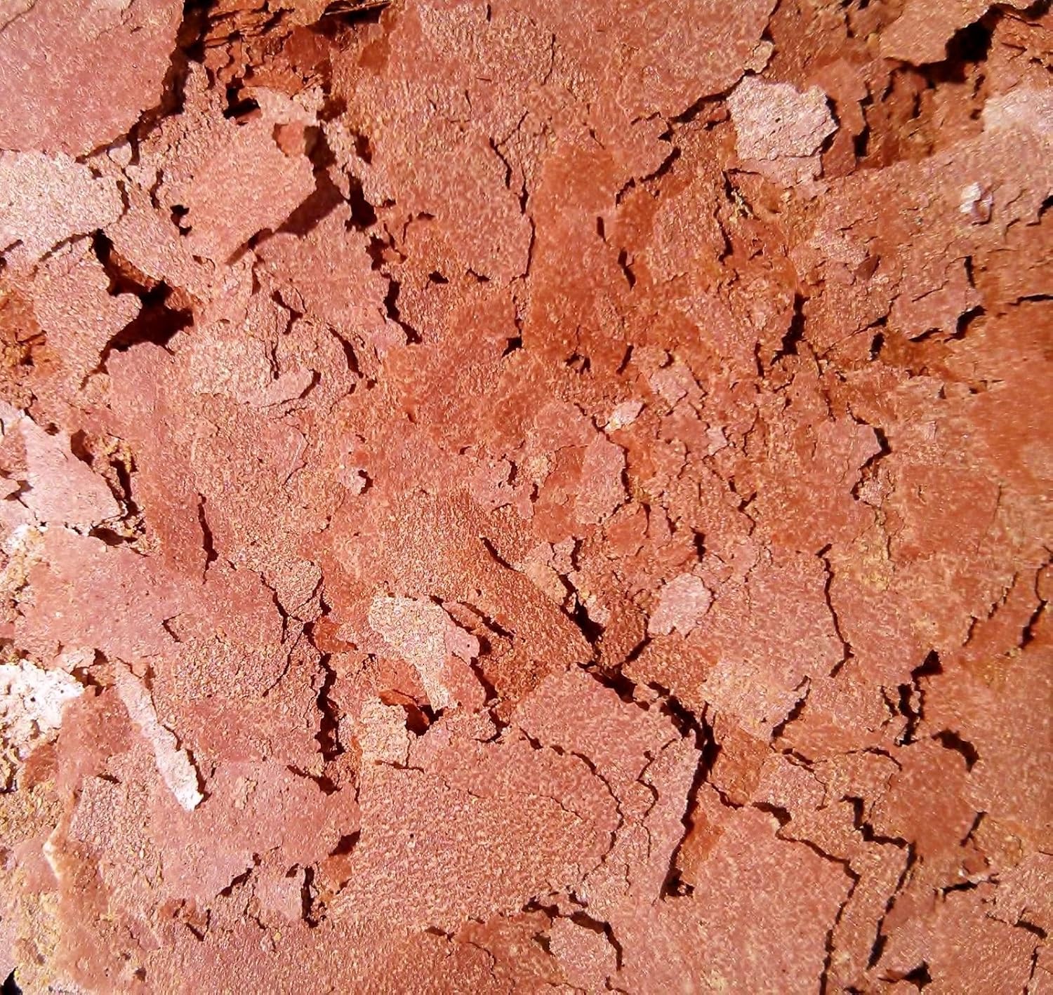 Aquatic Foods Inc. Bloodworm Flakes, High Protein Bloodworm Flakes for Discus, Cichlids, Tetras, Guppies, Live Bearers, All Community Tropical Fish - Premium AF Flakes - 2-lbs