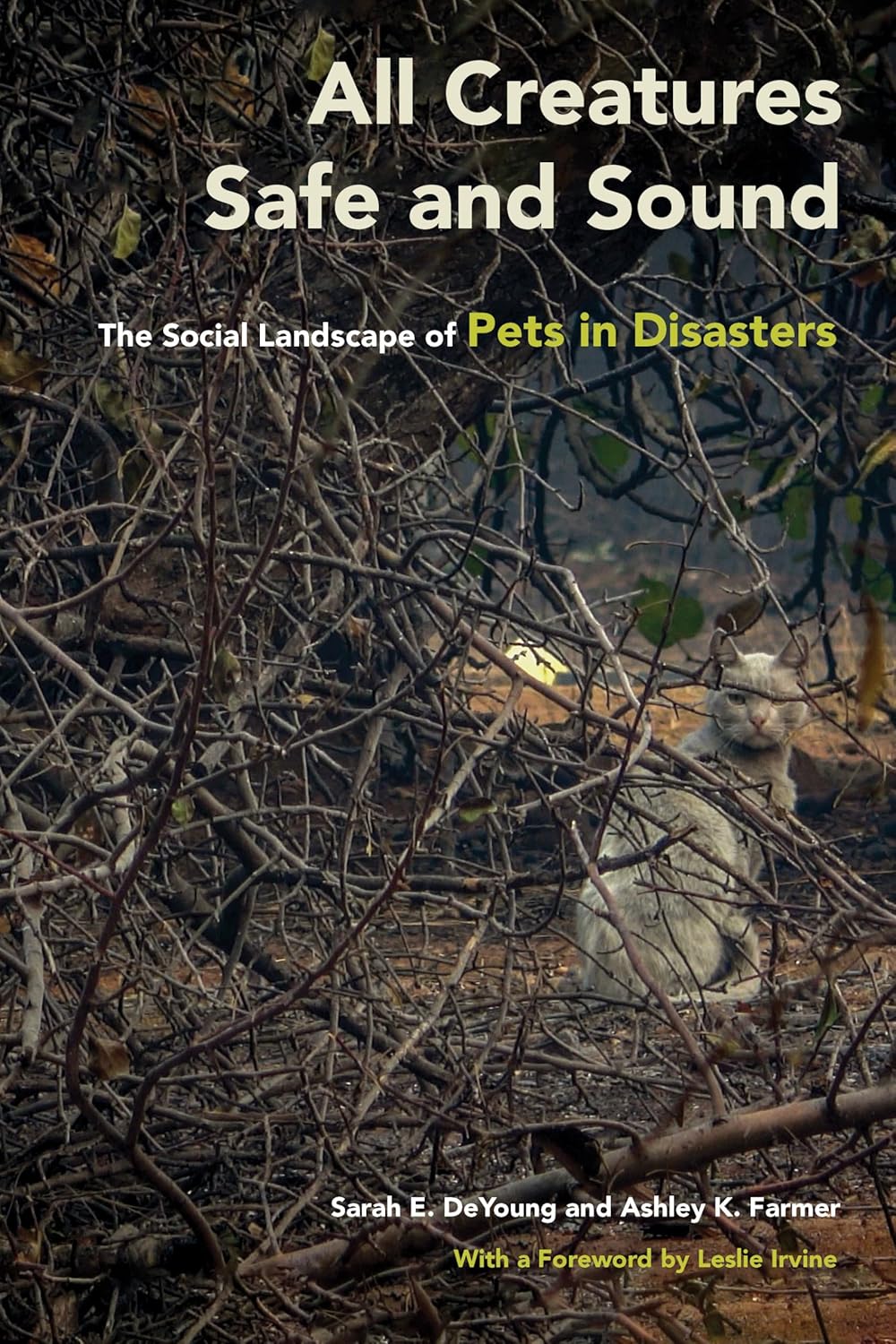 All Creatures Safe and Sound: The Social Landscape of Pets in Disasters