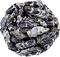 Vista 16 de Crocon Piedra de sangre de dragón de 1 libra, piedras en bruto y cristales a granel para pulir, cabina, pulido, minería, equilibrio de chakras