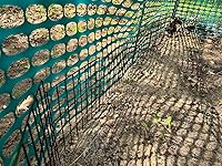 Review Image by "Badger" "Badger"