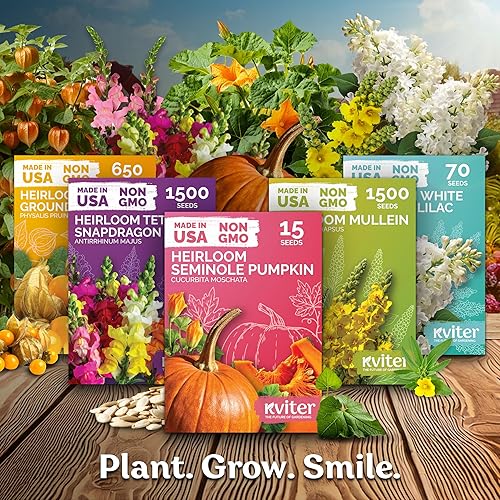 Miniatura 6 de Mezcla de 1500 semillas de Snapdragon Tetra (Antirrhinum Majus) y 5500 Mix Dwarf Fairy Bouquet Snapdragon Seeds (Linaria Maroccana) - Semillas de