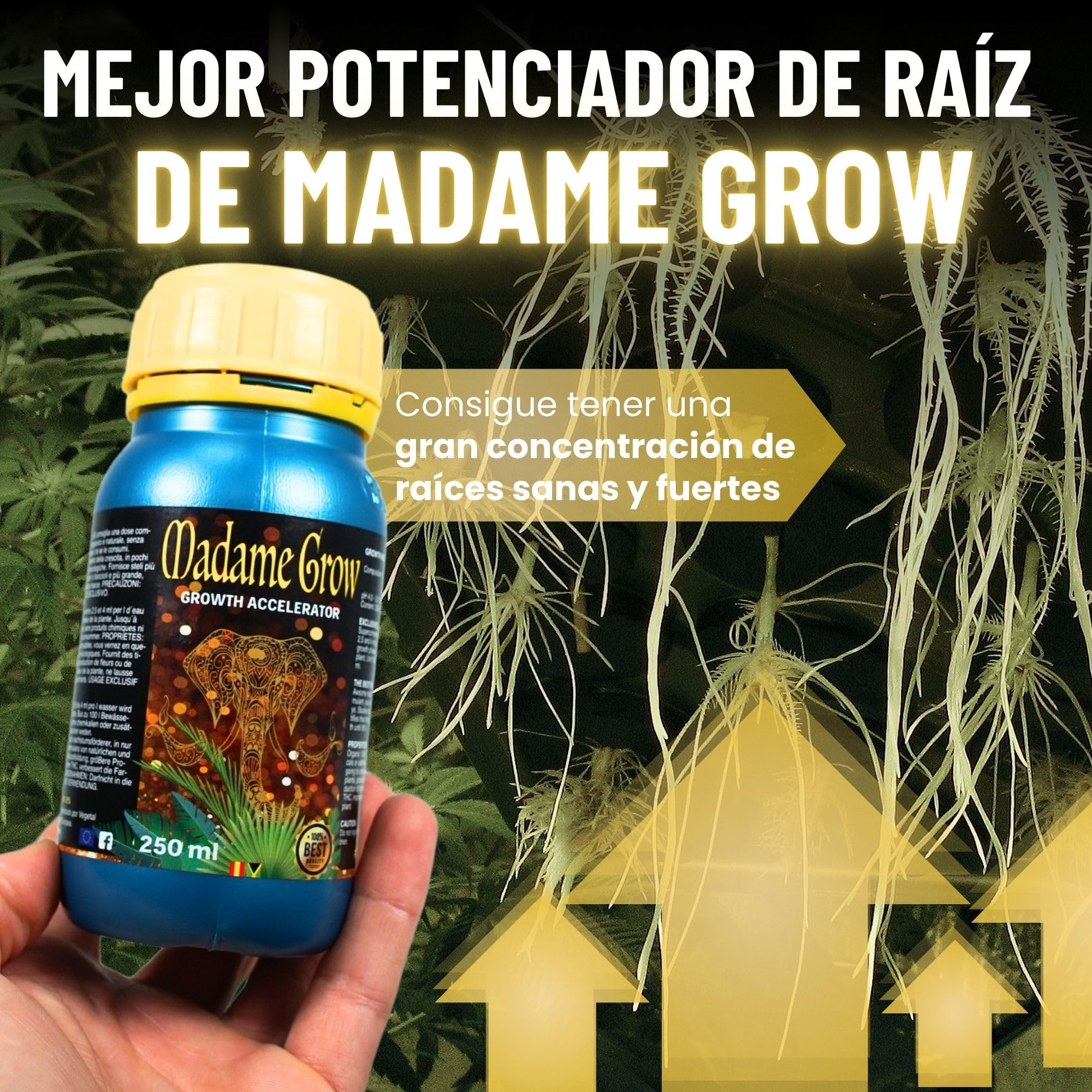 MADAME GROW Kit Power 3PACK 3 x 500ml | Pack Fertilizantes Crecimiento Floración y Engorde | Enraizante + PK Floración + Engordador K30 | Kit 3 Abonos Orgánicos