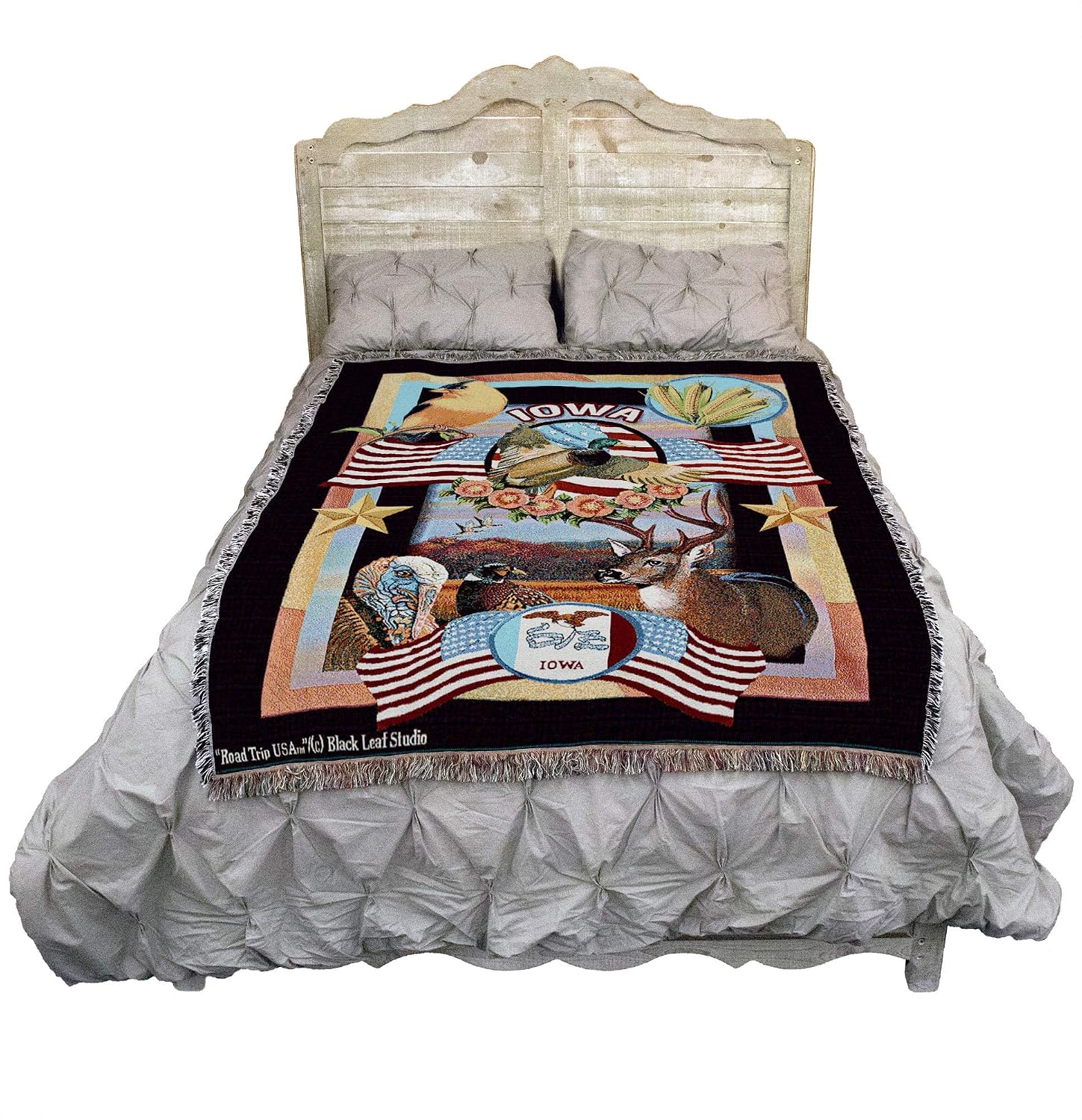 Pure Country Weavers State of Iowa Blanket by Dwight D Kirkland - Gift Tapestry Throw Woven from Cotton - Made in the USA (72x54)