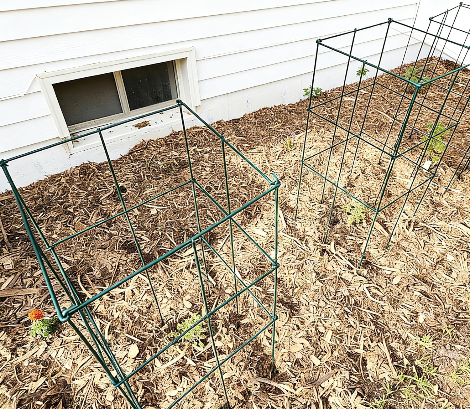 2 Pack 12x39 Inch High Green Folding Square Tomato Cages, Tall Plant Support Tomato Trellis Metal Plant Peony Cage